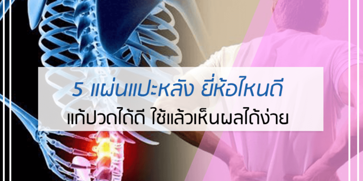5 อันดับ แผ่นแปะหลัง ยี่ห้อไหนดี