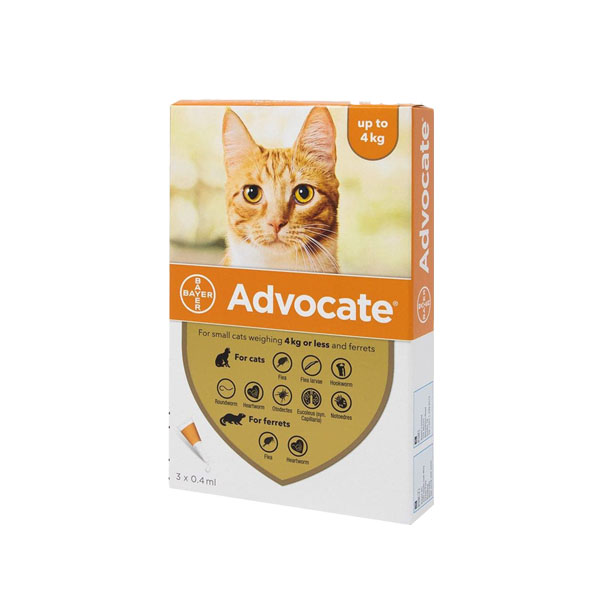 Advocate ยากำจัดเห็บหมัดแมว แบบหยอด ใช้ง่าย หาซื้อได้ไม่ยาก