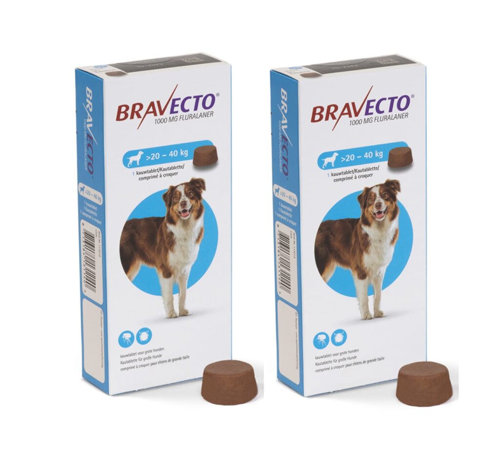 Bravecto ยากำจัดเห็บหมัดแบบเคี้ยวกิน ตัวช่วยพร้อมดูแลสุขภาพผิวของสุนัข