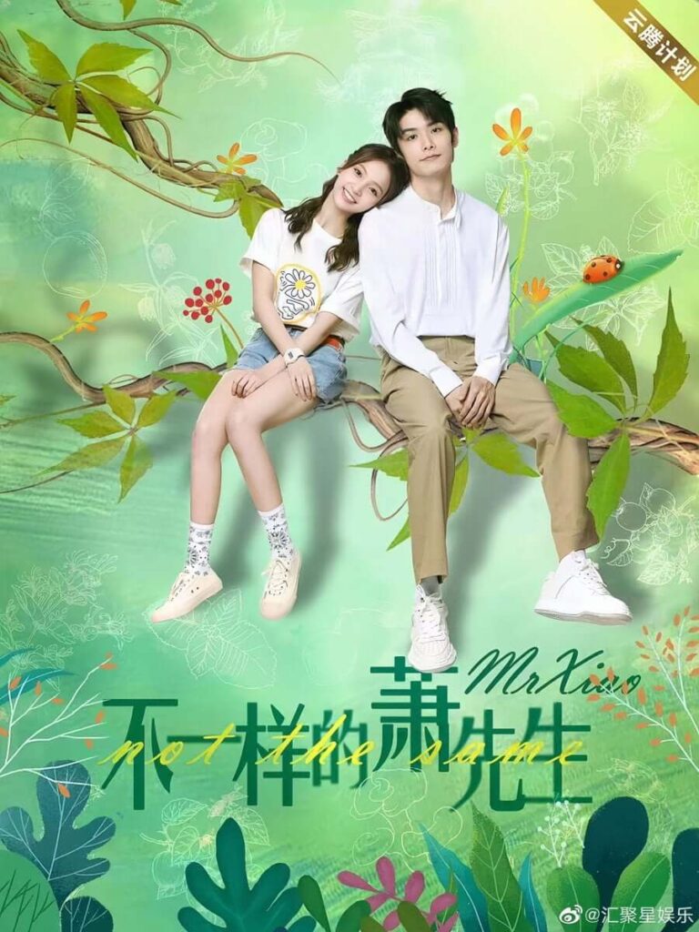หมอแปลกเซียวเซียนเซิง A Different Mr. Xiao ซีรี่ย์จีน โรแมนติก