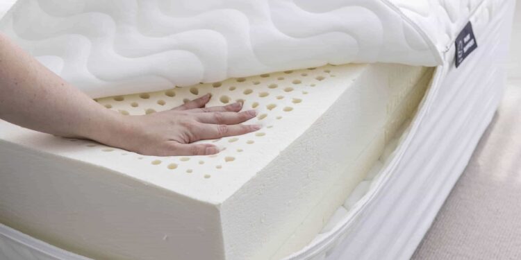 ที่นอนยางพารา ยี่ห้อไหนดี - 1